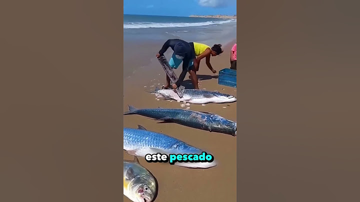 Las escamas de este salmón valen mucho dinero🤑