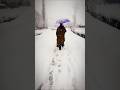 Walking Through Snow❄️🌨️