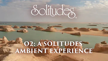 Dan Gibson’s Solitudes - Shaping the Sand | O2: A Solitudes Ambient Experience