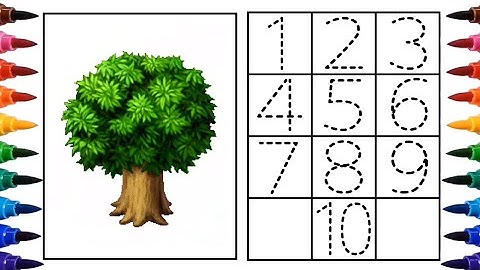 [숫자 게임] 나무로 점선을 따라 1부터 10까지 숫자 쓰기 | 숫자를 적어 라 | Write Dotted Line Numbers from1 to10 with trees
