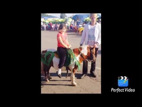 Как мы отдыхали летом картинки Как мы отдыхали летом картинки