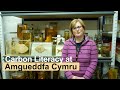 Carbon literacy at amgueddfa cymru  national museum wales