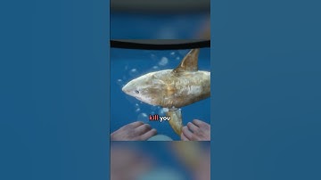 How NOT to Get Killed By a Shark in GTA 5 #gta5 #gtav #gtaonline - DarkViperAU