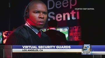 Virtual security guards