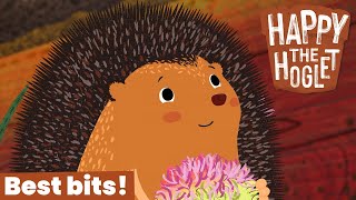 So Embarrassing 🧸 Happy The Hoglet 🦔 Best Bits 🔔 New On Timmy & Friends!