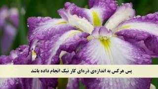 جز 30 ( سوره بینه و سوره زلزله و سوره عادیات ) با ترجمه فارسی صوتی و تصویری