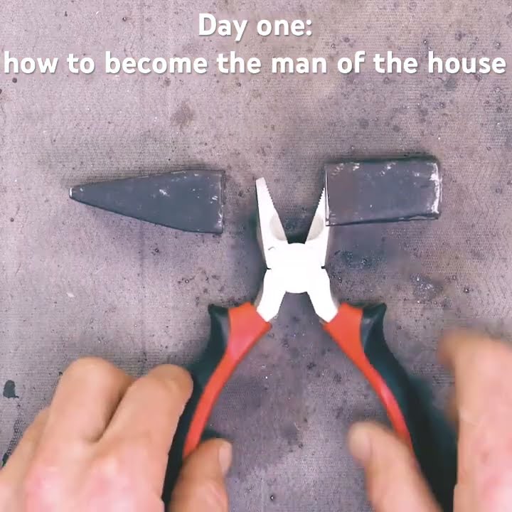 Day one: how to become the man of the house #house #houseplants