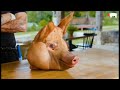 How To Slaughter A Pig