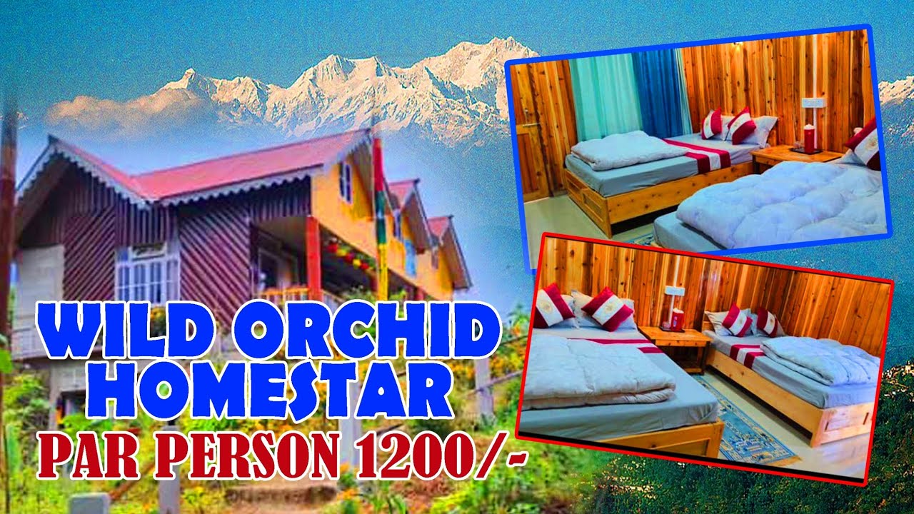 KOLAKHAM BEST HOMESTAY // WILD ORCHID HOMESTAY // LAVA // RISHABH  // NORTH BENGAL OFFBEAT HOMESTAY 