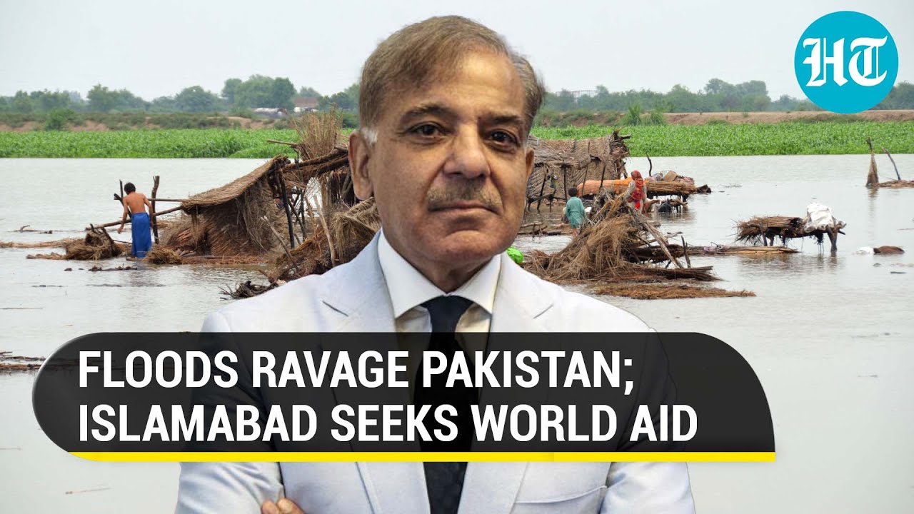Pakistan 'begs' for global funds as flood death toll tops 800 amid ...