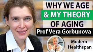 Why We Age &amp My Theory Of Aging | Prof Vera Gorbunova Interview Series