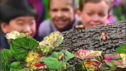 All Week Of Sing and Dance with Barney (Screener) (All Week Version) Part 68