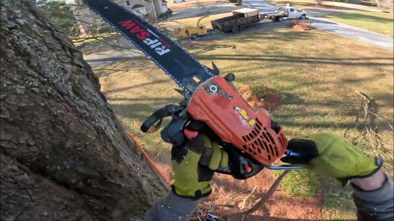 Removing oak tree next to house Pt.1 (RAW FOOTAGE) YouTube
