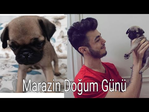 Marazin Dogum Gunu Tugay Gok Youtube