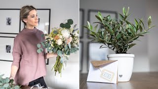 DIY FLORAL IDEAS FOR VALENTINE'S DAY //  POTTED OLIVE & CUTE GIFT IDEAS by Valerie Aguiar 6,870 views 1 year ago 13 minutes, 6 seconds