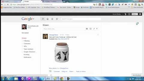 How to add multiple admins on Google+