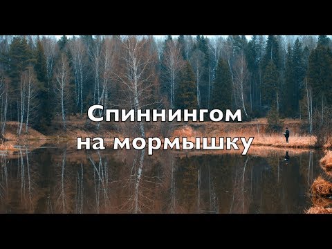 Выходной день на реке.