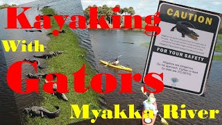 CLOSE CALL with ALLIGATORS - FLORIDA - Myakka River Kayaking