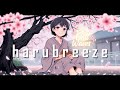 「lo-fi」 h a r u b r e e z e 🏮🌸 | soft melodies inspired by sakura season 🎐✨