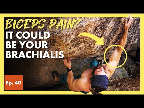 Biceps Pain or Climbers Elbow? The Mystery of the Brachialis Muscle Revealed (QUARANTINE RISK)