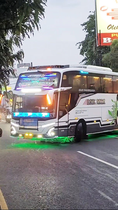 Kids Panda Stecu #shortvideo #shortsfeed #shorts #bus #basuri #telolet