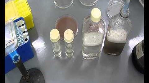 Quality Assurance Testing of Inoculants - Becker Underwood