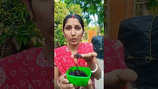 jon ini sambal saous pedasnya. #funny #youtube #trendingshorts