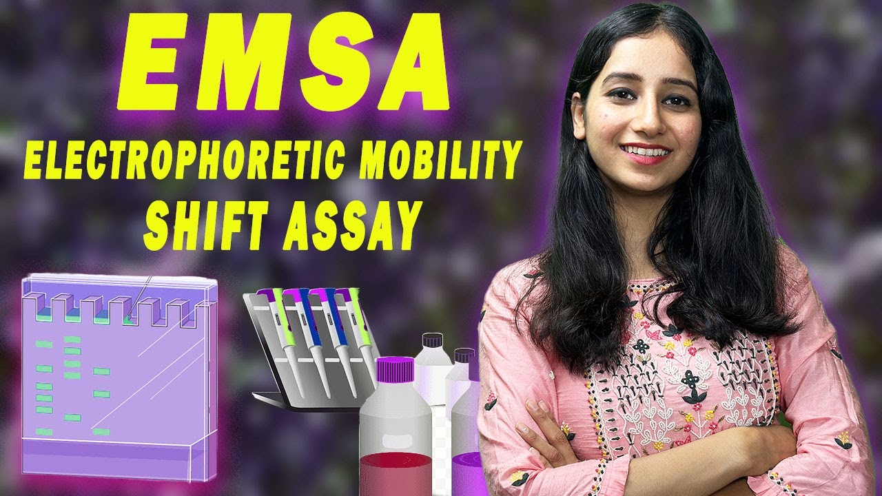 Electrophoretic Mobility Shift Assay (EMSA)  Electrophoresis Products &  Reviews on SelectScience