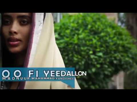 Caalaa Aabbuu Fi Fandishee Mul Ataa