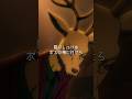 「ボスの俺に任せろ」/#アニメ 「#BEASTARS」 #14「灰色の警察犬とりあえず走ってる」