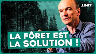 "NOS FORÊTS VONT-ELLES DISPARAÎTRE ?" - LAURENT TESTOT | LIMIT