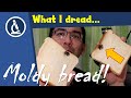 🔬 068 - How to look at MOLDY BREAD under the microscope |  Citizen science