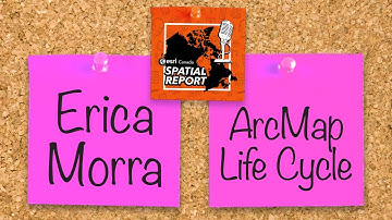 ArcMap Life Cycle - Episode 12 - Spatial Report