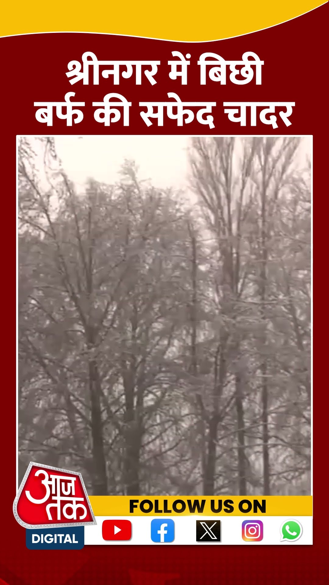 Srinagar में फिर शुरू हुई जबरदस्त बर्फबारी #shorts #shortsvideo #snowfall