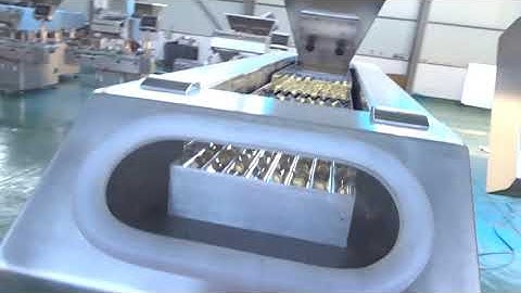 GS Series automatic tablet and capsule counting machine