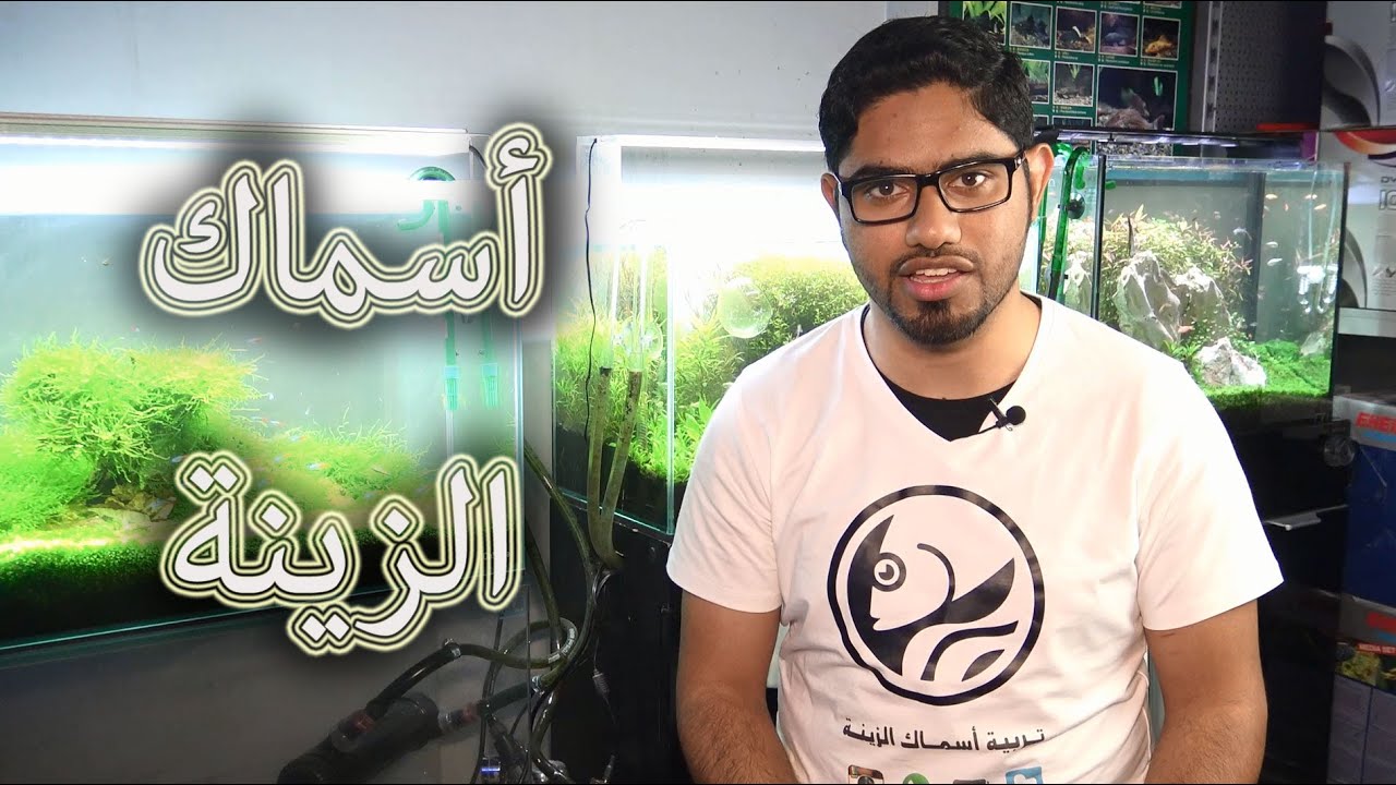 # أسماك الزينة | تربيتها وبيئتها الطبيعية | ..