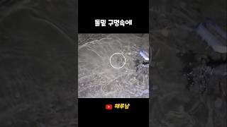 갯벌에 박혀있는 돌밑 작은구멍 밑에는? #shorts