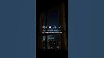 سورة المعارج.القارئ #محمد_صديق_المنشاوي #القرآن_الكريم #ارح_سمعك #quran #foryou #اكسبلور #لايك #fyp