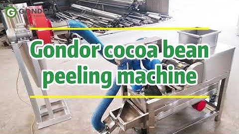 Cocoa Bean Cracker & Winnower - Efficient Peeling Machine for Chocolate Making #nutprocessing