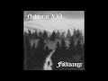 Nokturat xii  flkvangr full album