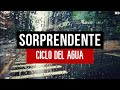 Ciclo del Agua- Planeta Sorprendente en casa HD