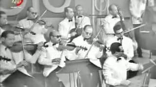 شفت حبيبي - محمد عبدالمطلب screenshot 1