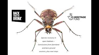 Species recovery in open habitats