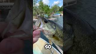 Is Kastkings Centron Lite Baitcaster Worth It?