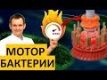 ЖГУТИКОВЫЙ ДВИГАТЕЛЬ БАКТЕРИИ. Полный обзор наномотора. ТЕХНОЛОГИИ В ПРИРОДЕ.