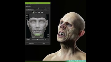 Face Tools Character Creator Test  #charactercreator #zbrush