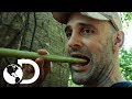 En busca de agua y fruta en los bosques de Panamá | Ed Stafford al extremo | Discovery Latinoamérica