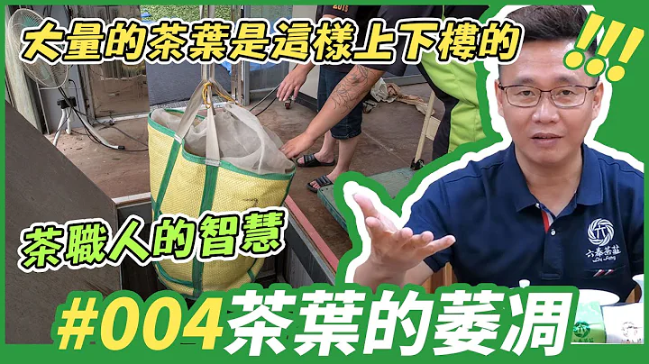 【六奉茶学】#004# 茶叶的萎凋，这么多的茶叶是这样上下楼的！直击茶职人们的智慧！ - 天天要闻