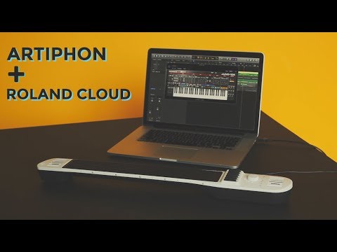 Artiphon + Roland Cloud (Artiphon Plus Series)