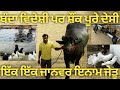 ਇੱਕ ਇੱਕ ਪਸ਼ੂ ਇਨਾਮ ਜੇਤੂ ਇਸ NRI ਦਾ,,, everyone animal price winner in NRI home